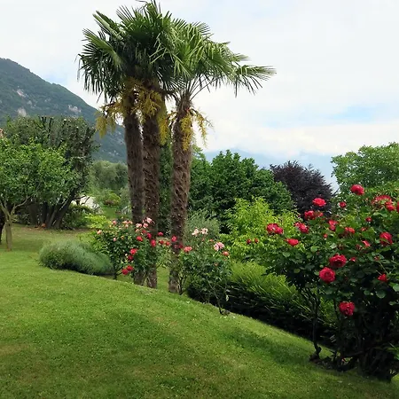 Bellagio View Casa de Férias Oliveto Lario