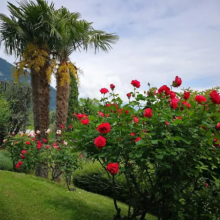 Bellagio View 펜션 Oliveto Lario