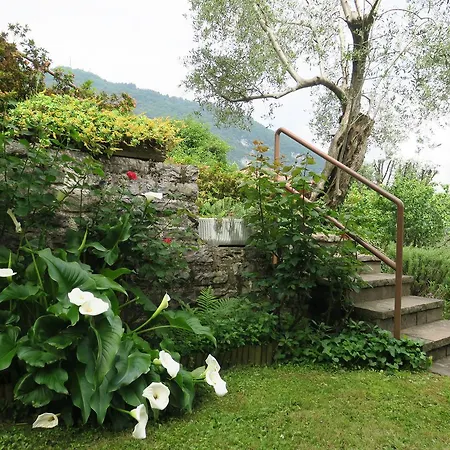 펜션 Bellagio View Oliveto Lario
